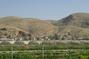 Jordan Valley agriculture