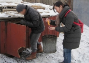 Enumerators at work in Mongolia