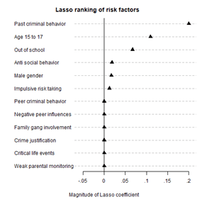 Lasso ranking chart showing how indicators like age and gender predict future criminal behavior.