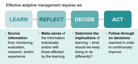 Chart showing the four steps of learning, reflecting, deciding, and acting.