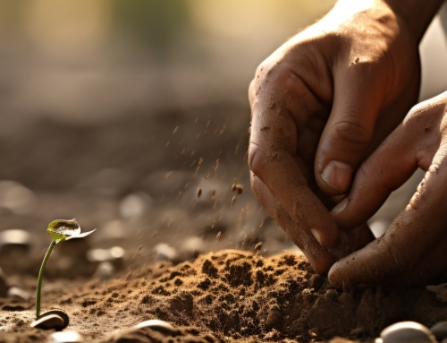 Supporting Locally Led MEL through a Learning by Doing Approach to Knowledge Sharing